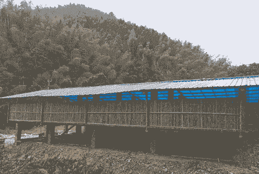 科学养殖羊舍怎么建的