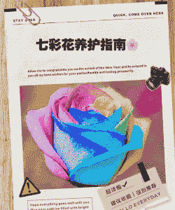 七彩花怎么养殖方法