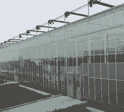 机械化养殖大棚怎么建好