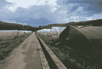 海南养殖大棚怎么样做