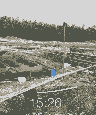 广东清远水蛭养殖怎么养