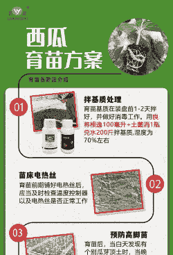 育苗养殖企业怎么搞销售