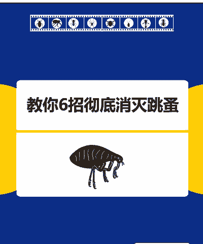 养殖厂怎么防止跳虱