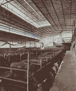 在西安搞养殖怎么样