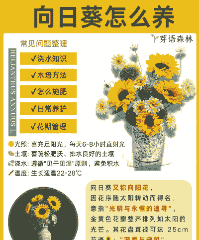 无籽向日葵怎么养殖