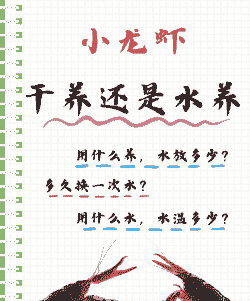 茶叶养殖小龙虾怎么养