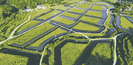 养殖田水变绿色怎么调节