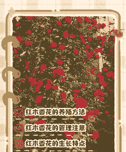 红木香花在庆阳怎么养殖