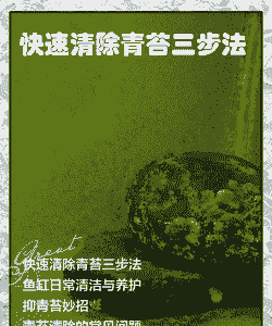 水产养殖鼻涕苔怎么治