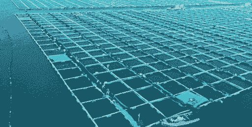 网箱养殖海参工作怎么样