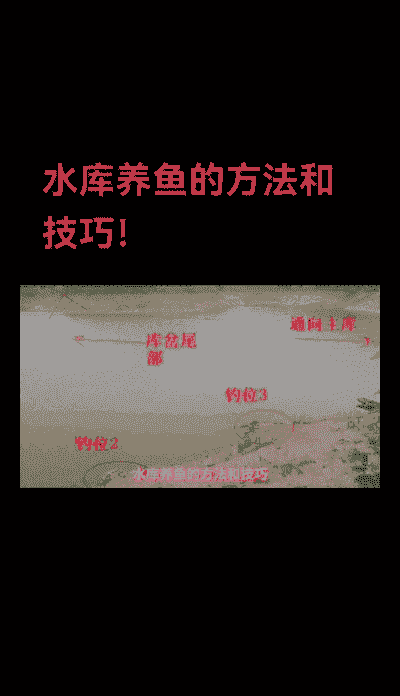 水库养殖的鱼怎么捉鱼