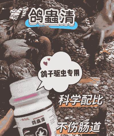 鸽子养殖场怎么驱蚊的