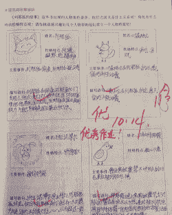 养殖狐狸市场调研怎么写