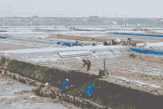 田野养殖小视频怎么拍