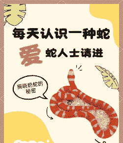 养殖奶蛇效益怎么样