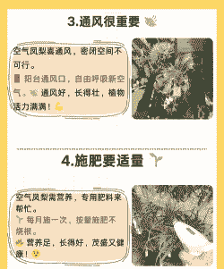 雾霾天种果树怎么养殖