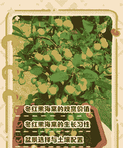 新种的果树冬天怎么养殖