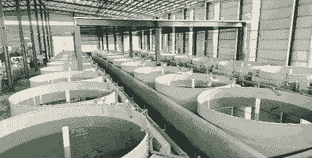 德国鱼业养殖技术怎么样