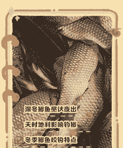 夏天养殖鲫鱼怎么过冬天