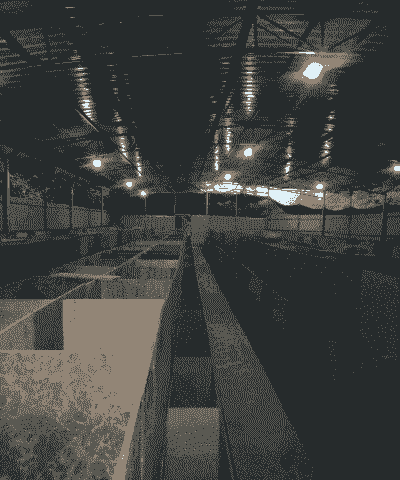 竹鼠养殖场房怎么建