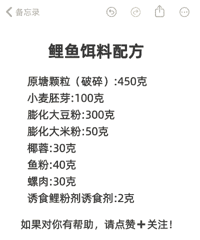 养殖黑坑鲤鱼怎么开饵