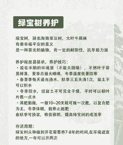 四季青怎么养殖