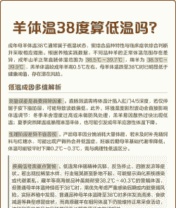 冬天养羊怎么养殖温度高