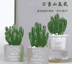 仙人掌有辐射怎么养殖