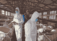 疫情期间养殖业怎么控制