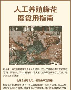 怎么样养殖梅花鹿