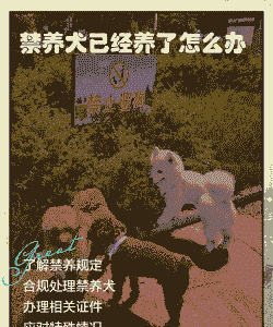 禁养以后养殖户怎么办