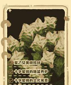 多肉十字星锦怎么养殖