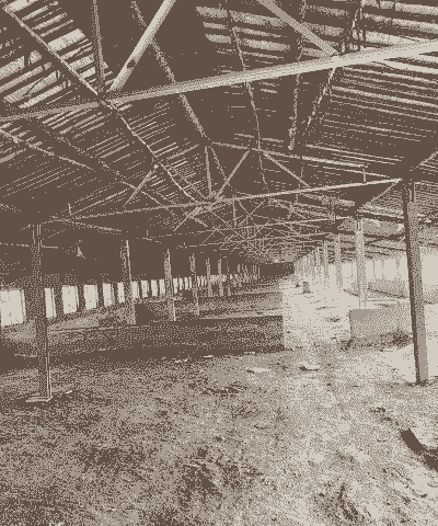 塔河肉鸭养殖大棚怎么建