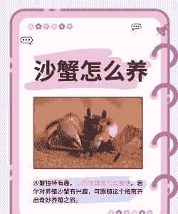 石板沙的螃蟹该怎么养殖