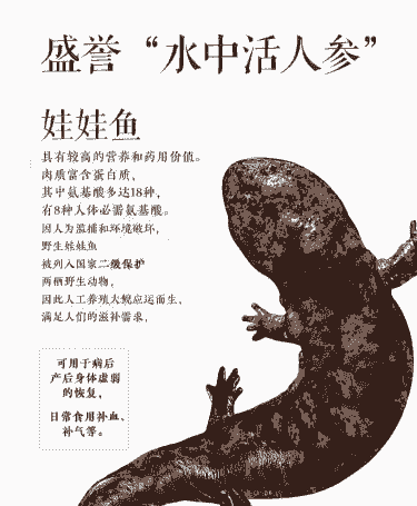 人工养殖大鲵条件怎么样