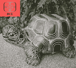 仿古石头龟怎么样养殖