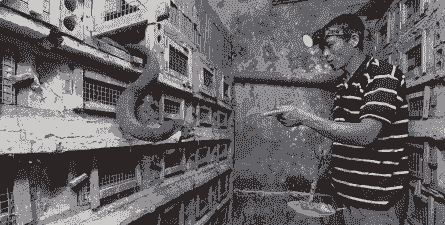 养殖宠物蛇前景怎么样