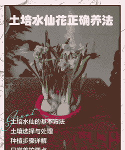 水仙花养殖初期怎么写