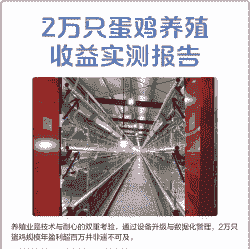 当前蛋鸡养殖利润怎么样