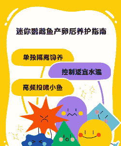 小鱼产卵后怎么养殖的