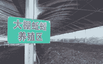 蚯蚓养殖合作社怎么样