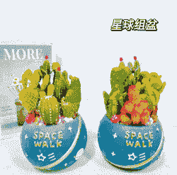 仙人球多肉组合怎么养殖