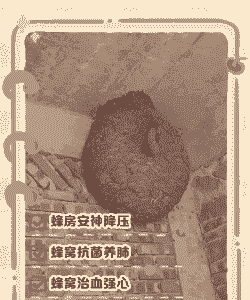 空心砖里的马蜂怎么养殖