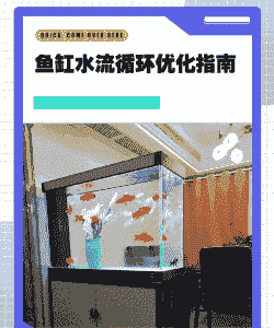 养殖鱼缸循环水怎么做的