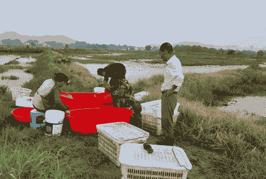 在农村创业养殖怎么样做