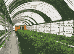 北京锦成达养殖怎么样