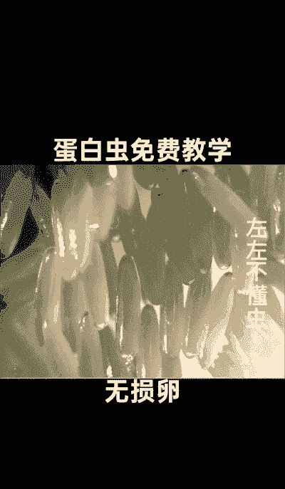 庄草原蛋白虫养殖怎么样