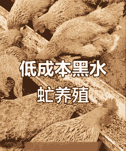 养殖蛋白虫的收益怎么样