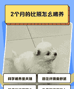 狗狗两个月怎么养殖才好