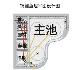 养殖场里的鱼池怎么建设